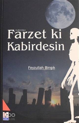 Farzet ki Kabirdesin