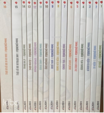 Nesillerin Öyküsü (16 Kitap)